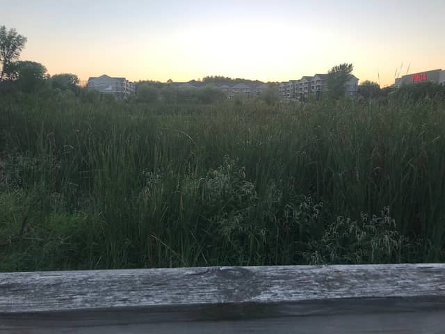 Horkey Park - Image 2