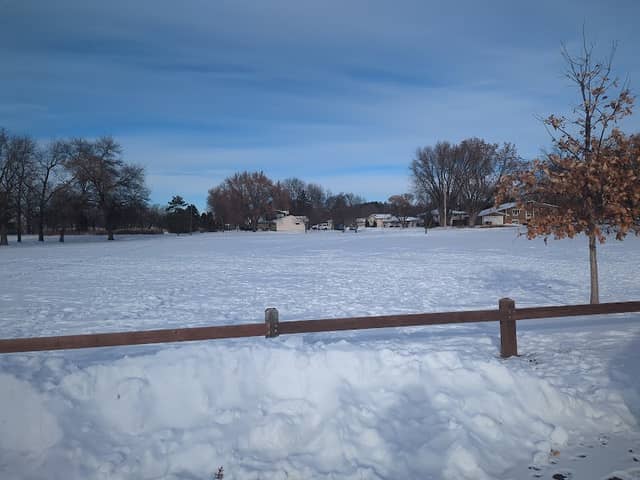 Wood Chips Location (Bloomington) - Image 1