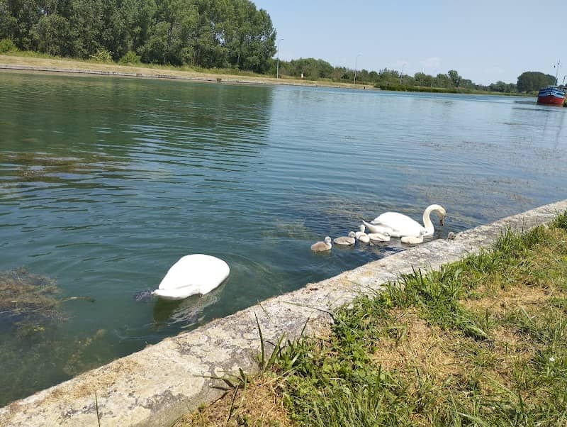 Écluse n°1 | Berry-au-Bac - Image 2