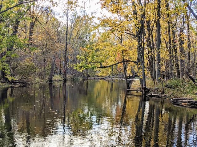 Looking Glass Riverfront Park (DeWitt Charter Township) - Image 2