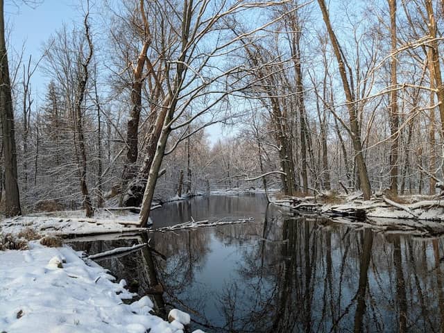 Looking Glass Riverfront Park (DeWitt Charter Township) - Image 1