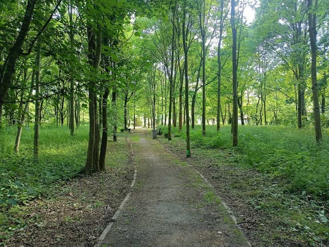 Park dworski w Domecku - Image 1
