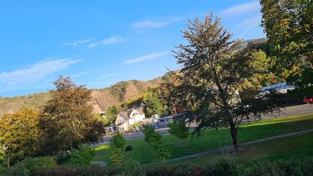 Magnolienhain - Image 2