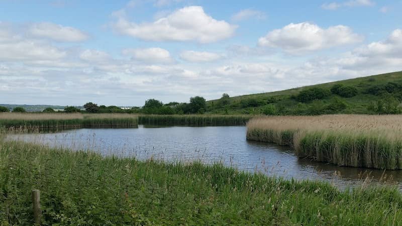 Port Sunlight River Park - Image 1