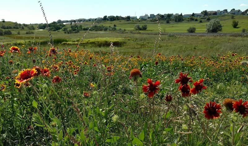 Johnny Gisi Memorial Park - Image 1