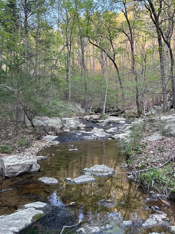 Cedar Falls Park - Image 2