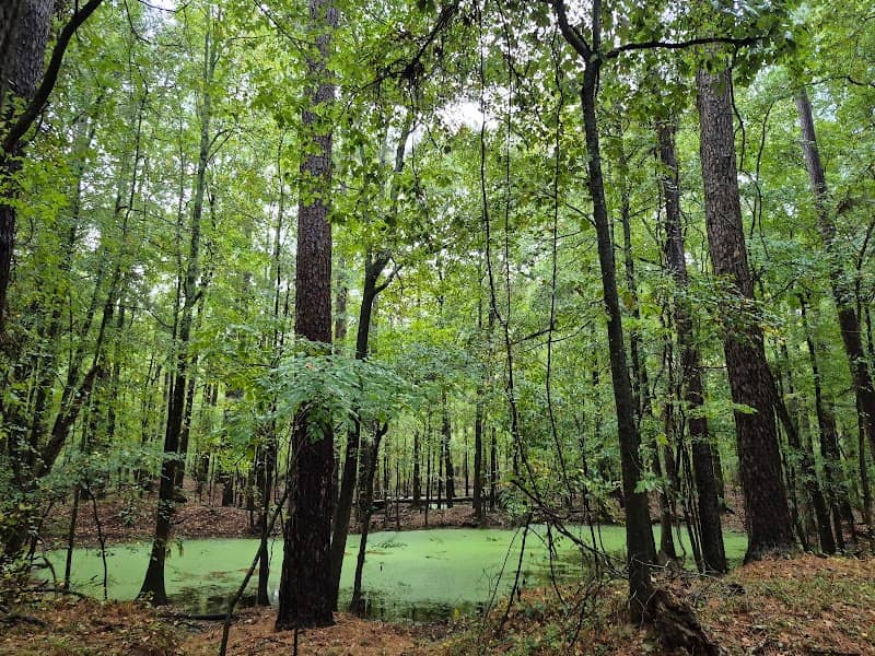 Congaree Creek Heritage Preserve - Image 1