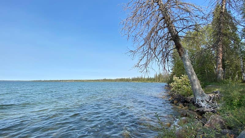 The Spruces beach area - Image 1