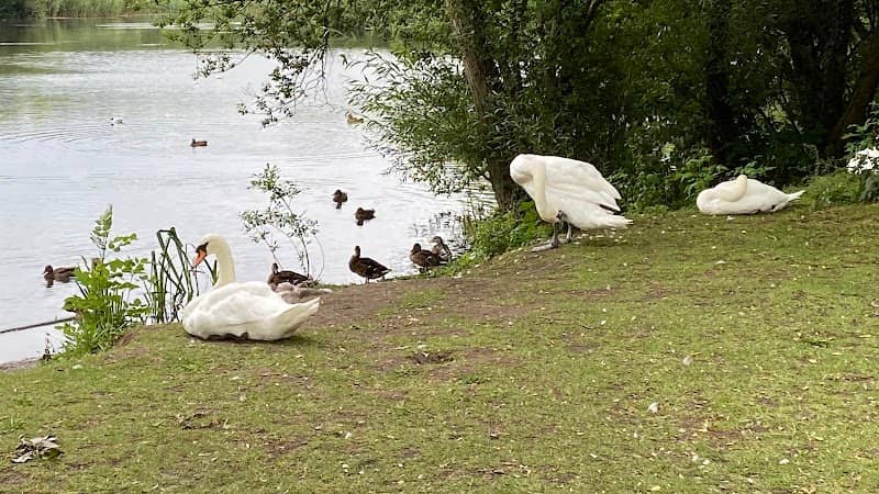 Sedgemoor park - Image 1