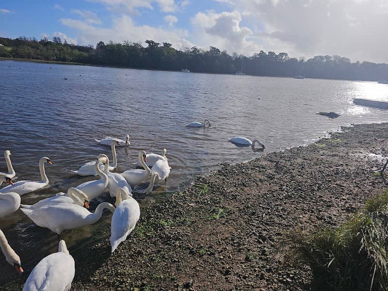 Upper Fareham Lake - Image 1