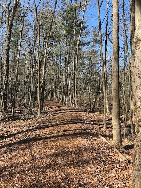 Sapsucker Woods - Image 2
