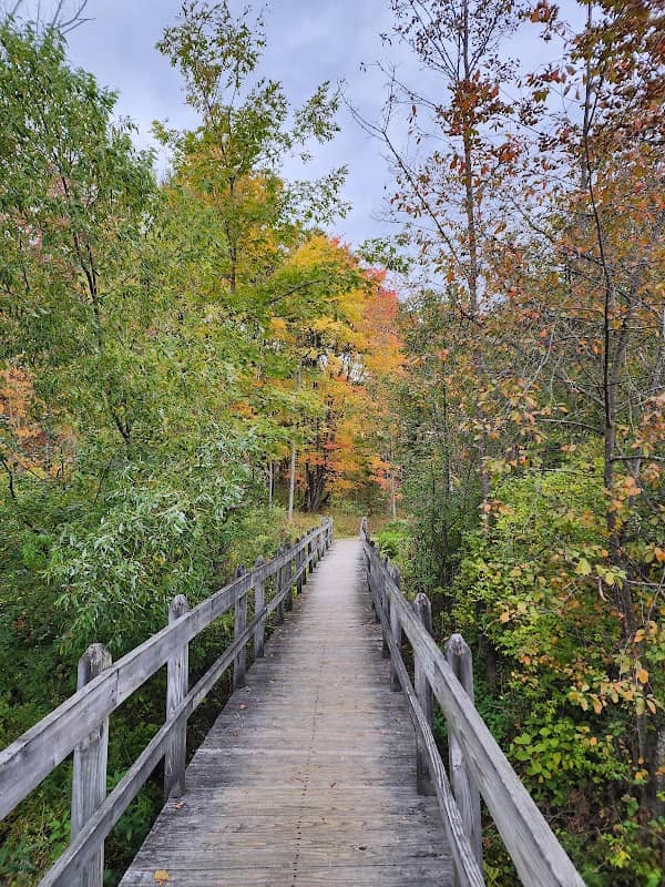 Sapsucker Woods - Image 1