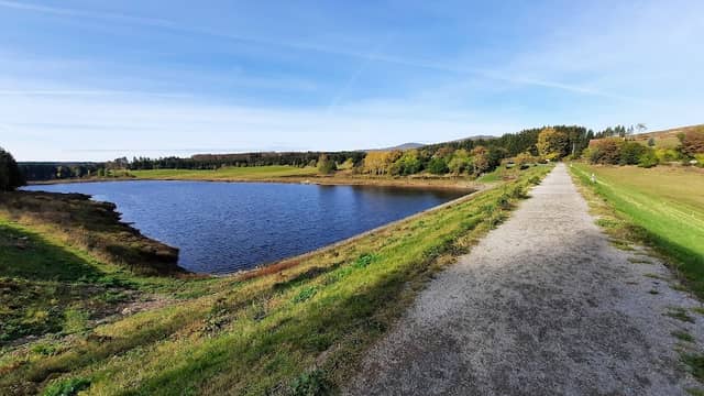 Hochwasserschutzbecken Kalte Bode - Image 1
