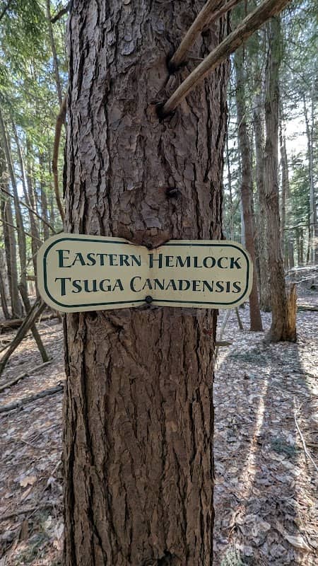 Warrior Trail access from Visitor park - Image 1