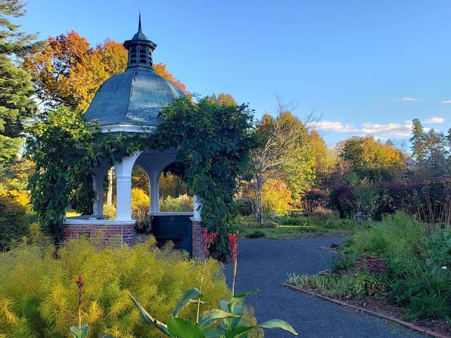 Grandmothers' Garden - Image 1