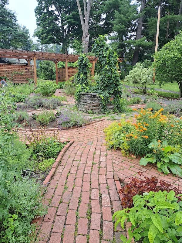 Grandmothers' Garden - Image 2