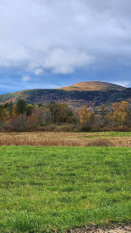 Hubbard Brook Wildlife Management Area - Image 1