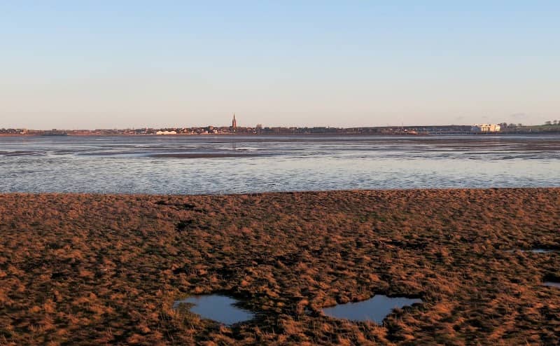 Montrose Basin, Wigeon Bird Hide - Image 1