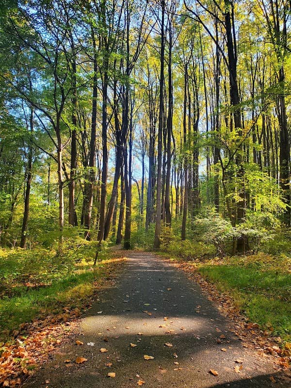 Malcolm King Park - Image 2