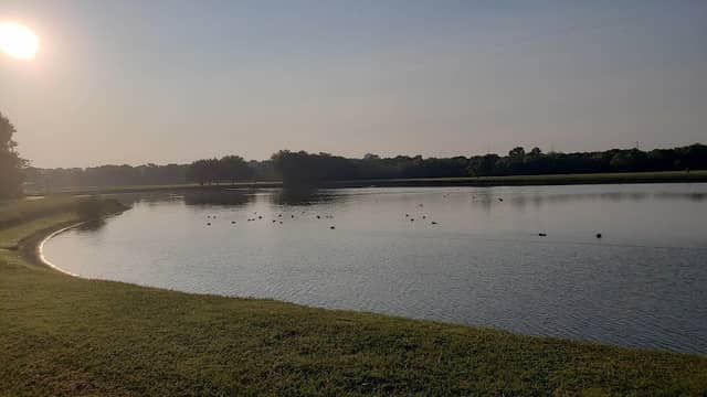 Springfield Park - Image 1