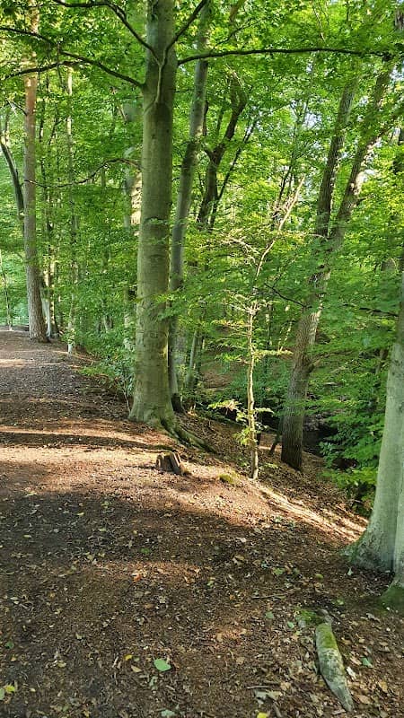 Fuhrenkamp - Image 1