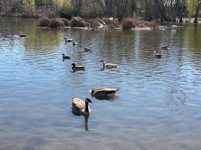 Beus Pond Park - Image 1