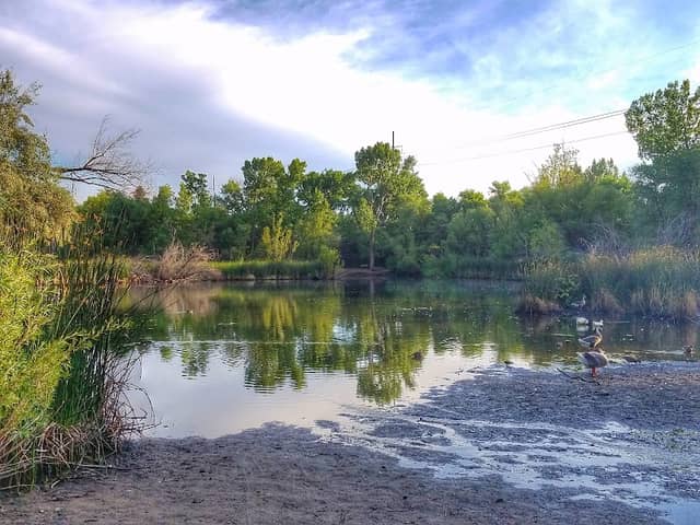 Beus Pond Park - Image 2