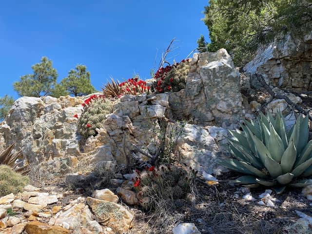 Quartz Mountain - Image 3