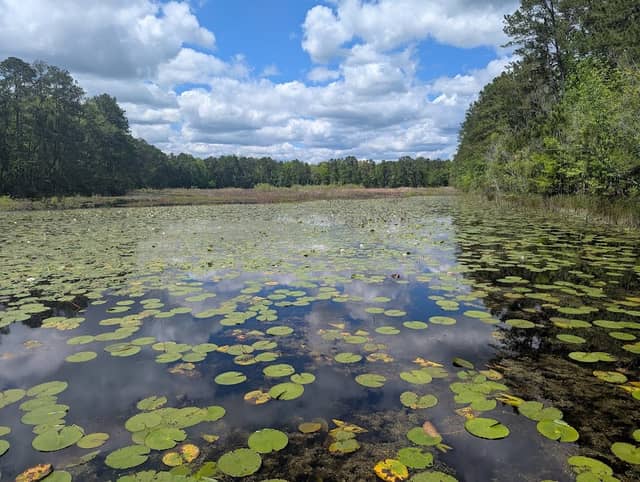 Kingfisher Loop Trail - Image 1