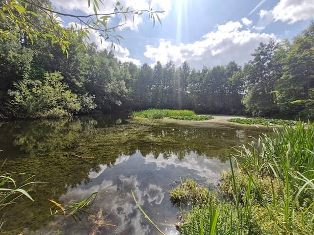 Andrea Hilse Park - Image 1