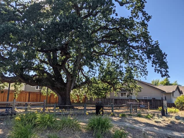 Shadetree Park - Image 1