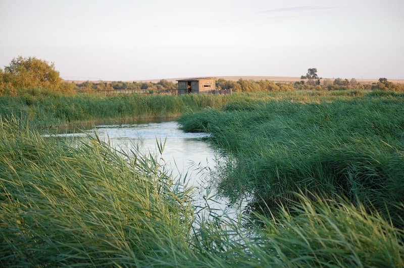 Isla del Maturro - Image 1