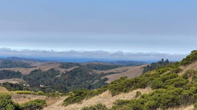 Lost Trail - Image 1