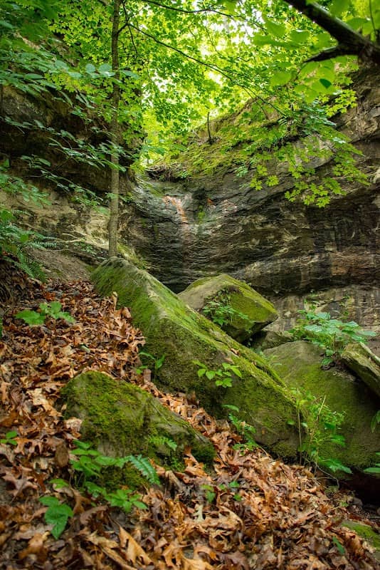 Don Robinson State Park - Image 1