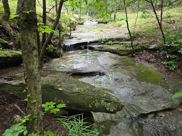 Don Robinson State Park - Image 2