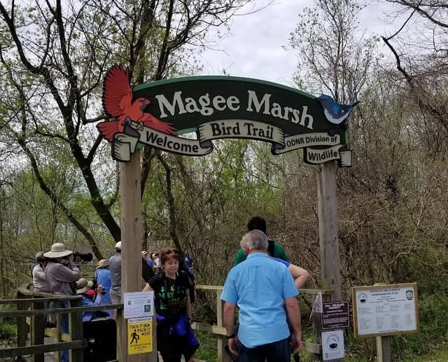 Magee Marsh Wildlife Area - Image 2