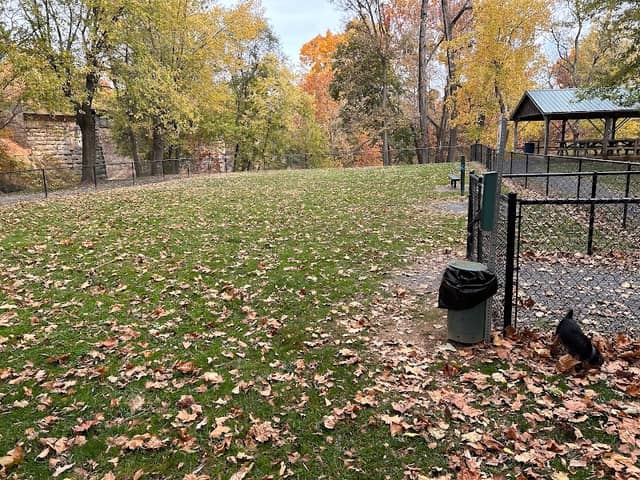 Timberville Dog Park - Image 2
