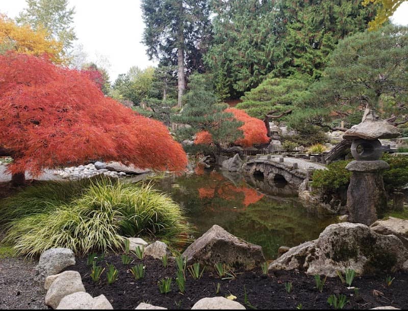 Seike Japanese Garden - Image 3