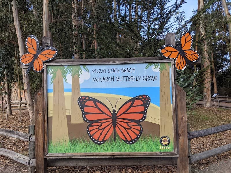 Monarch Butterfly Grove - Image 3