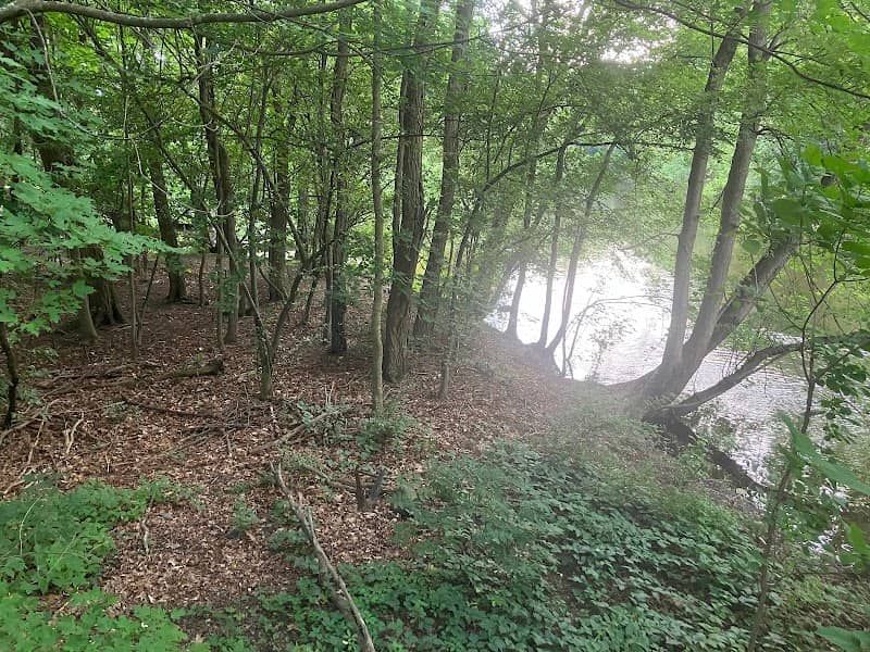 Charles River Greenway Access - Image 2