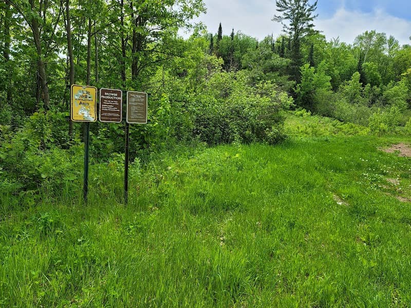 Birchdale Wildlife Management Area - Image 2