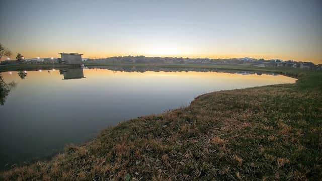 Pond Leone - Image 3