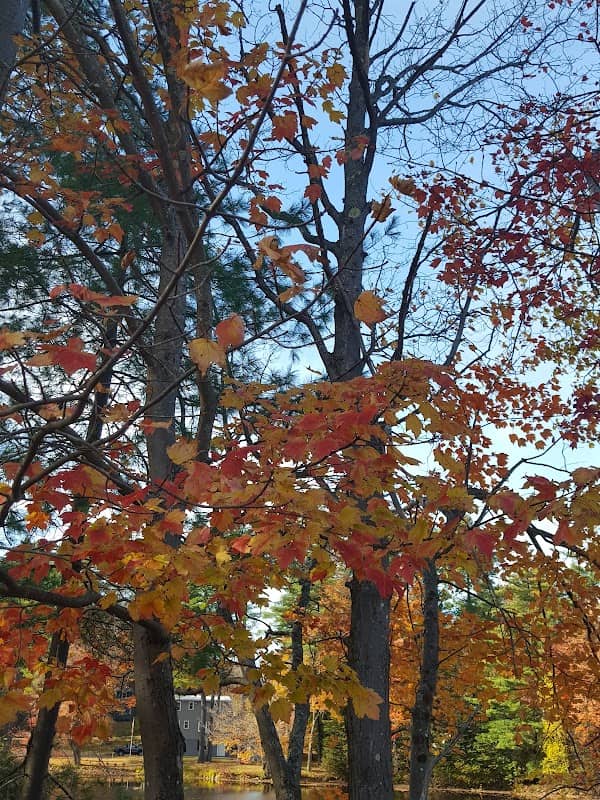 Howard Memorial Park - Image 2