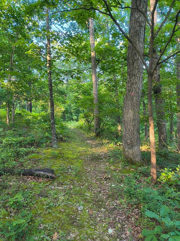 Mossy Hill Trail - Image 1