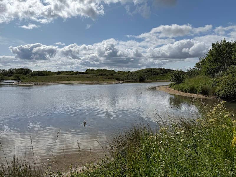 Hauxley Wildlife Discovery Centre - Image 3