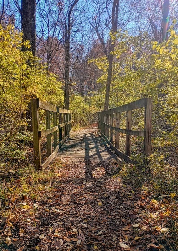 George Owens Nature Park - Image 2