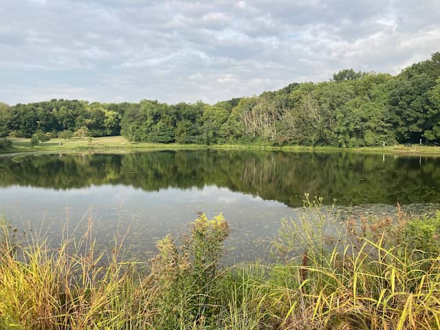 George Owens Nature Park - Image 1
