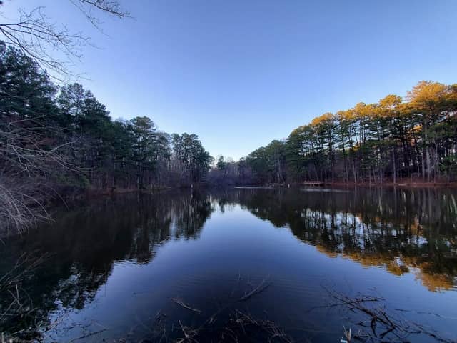 Reynolds Nature Preserve - Image 1