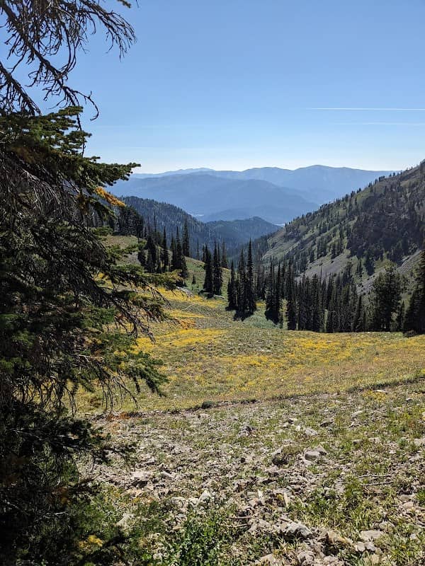 Mt. Baird Trailhead - Image 1