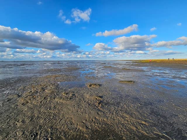 Naturstrand Hilgenriedersiel - Der einzige Naturstrand mitten im Nationalpark Wattenmeer - Image 1